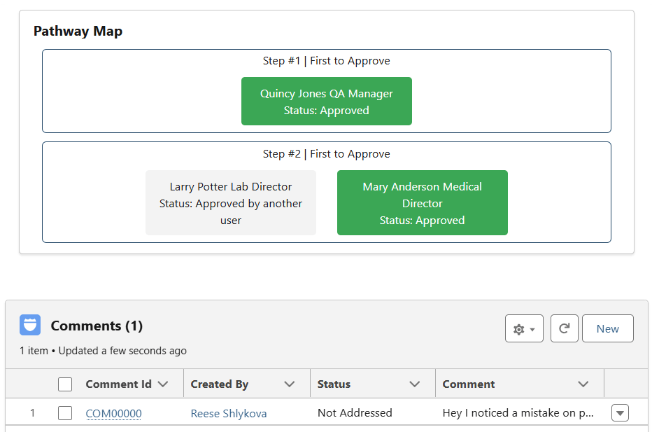 Review and approval pathway 